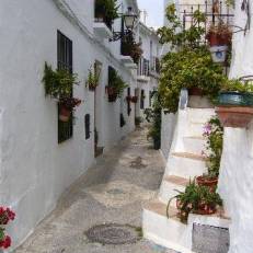 Hotel Rural Almazara 