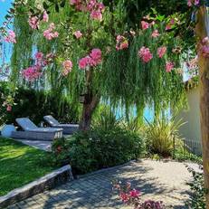 Il Giardino Di Lory 