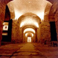 Tenuta Cortevecchia 