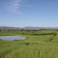 Il Nido di Gabbiano 