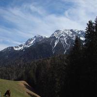 Berggasthof Trattes 
