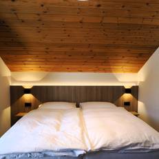 Hotel Alpina Parpan 