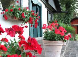 B&B Cottage Roberta 