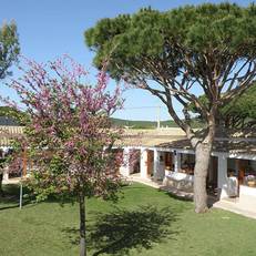 Hostal Las Acacias 
