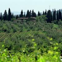 Fattoria Casa Sola 