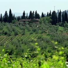 Fattoria Casa Sola 