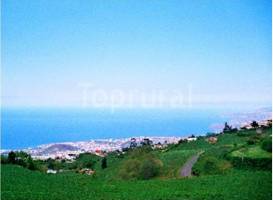 Rural Las Llanadas 