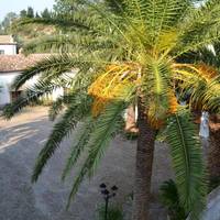 Agriturismo Malena 