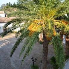 Agriturismo Malena 