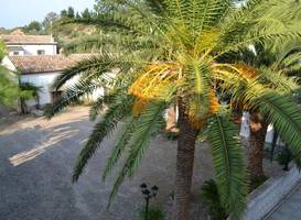 Agriturismo Malena 