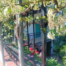 Residence Oleandro