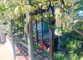 Residence Oleandro