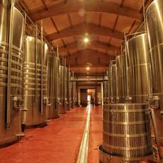 Hotel Torremilanos 