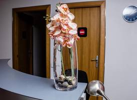 Cool & Chic Hostel 