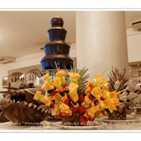 Hotel Vina De Mar 