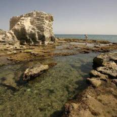 RealRent Calamora 