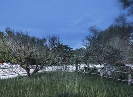 Masseria Alchimia 