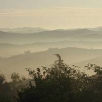 Langhe Apartment 