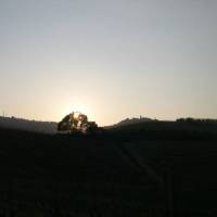Cascina Ballarin 