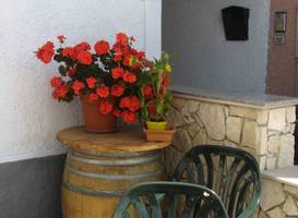 Albergo Bellaria 