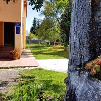 Guest House Toic 