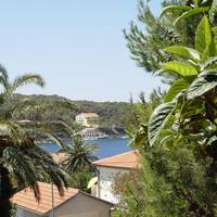 Apartments Jovic 