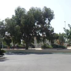 Casa En La Costa 