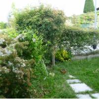Domus Langhe B&B 