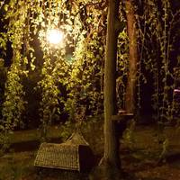 Villa Irene B&B 
