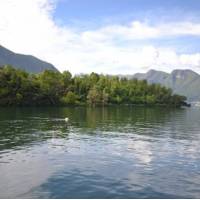 Residenza Isola 