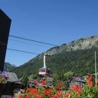 Hotel Des Alpes 