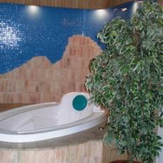 Albergo Pozzole 
