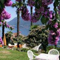 Hotel Primavera 