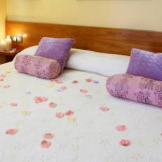 Hotel Plaza Inn 
