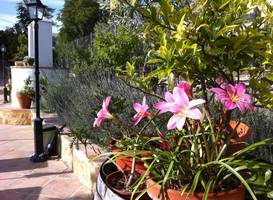 Hotel El Molino 