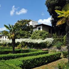 Villa Il Leccio 