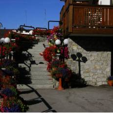 Hotel Orchidea 