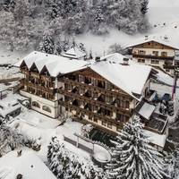 Hotel Alpenhof 