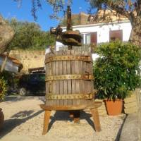 Il Cottage B&B 