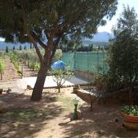 B&B Il Vigneto 