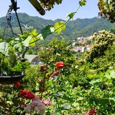 B&B Il Tintore 