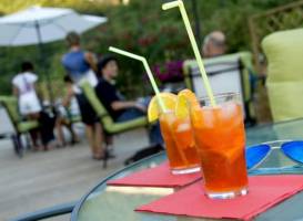 Hotel La Selva 