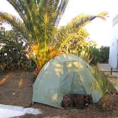 Finca Budista 