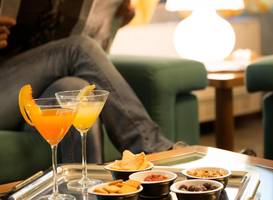 Hotel Torresi 