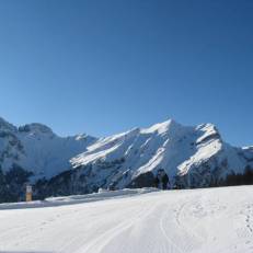 Chalet Lauber 