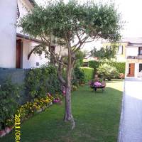 Alloggi Marin 