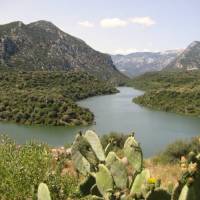 Hotel Cedrino 