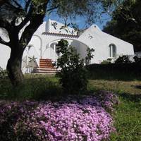 Hotel Cedrino 