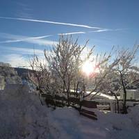 Garni Reider 