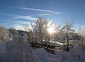 Garni Reider 